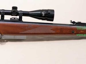 Diana - Rastatt Mod. 350Magnum (WbK-pflichtig) 4,5mm