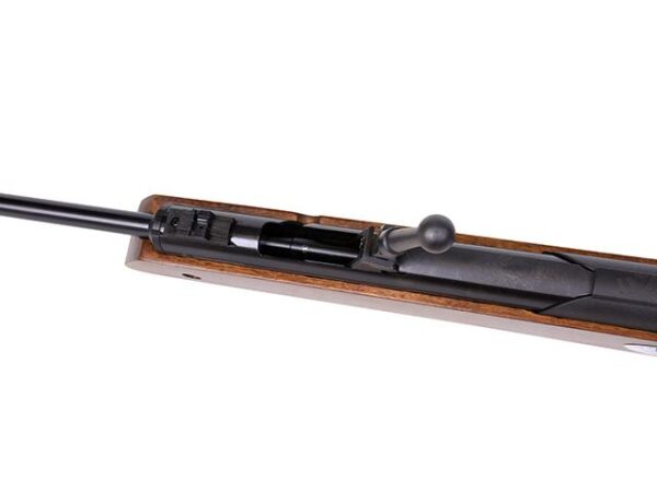 DIANA Oktoberfestgewehr 4,4mm/.173 – Bild 2